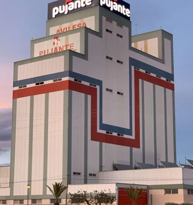 SURARTE RÓTULOS ·  PUJANTE ·  Coronación y fachadas